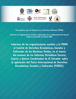 INFORMES: Organizaciones sociales y la PDDH al Comité DESC de Naciones Unidas