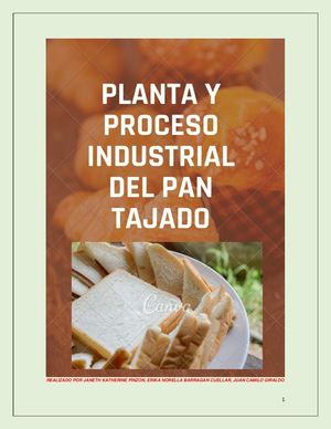 Paso 5 Grupo 3 Diseño De Plantas De Alimentos