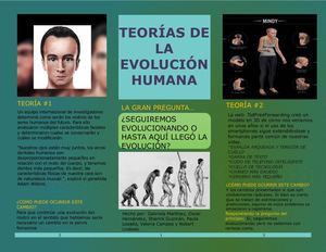 Trabajo Evolución