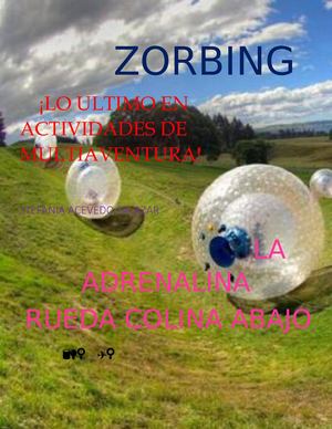 Zorbing