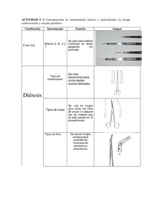 Guía 2 Anderson Olivero