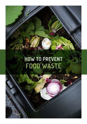 1905 Bond Ebook A4 En