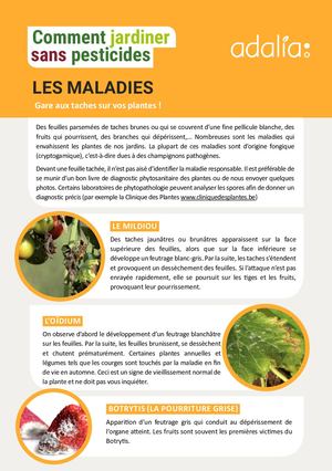 Fiche Maladies