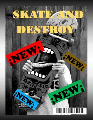 Revista Skate And Destroy