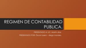Regimen De Contabilidad Publica