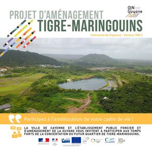 Plaquette Tigre Maringouins Version Numérique