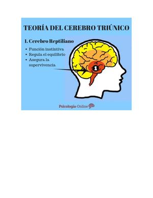El Cerebro Triuno