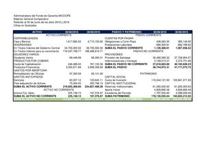 Balance General Comparativo Fondo De Garantía