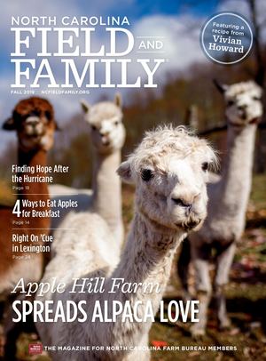 Calameo North Carolina Field Family Fall 2019