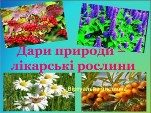 Дари природи 2222222