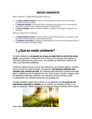 Medio Ambiente