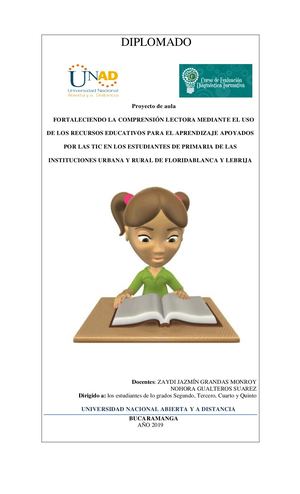 Implemetacion Del Diplomado