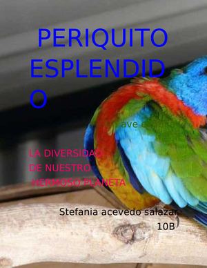 Periquito Esplendido