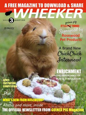 FREE NEWSLETTER