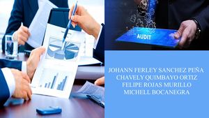 Revista Auditoria Y Control