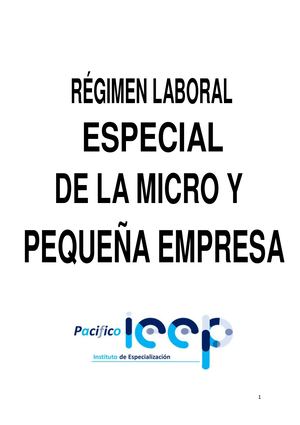 RÉGIMEN LABORAL ESPECIAL DE LA MICRO Y PEQUEÑA EMPRESA