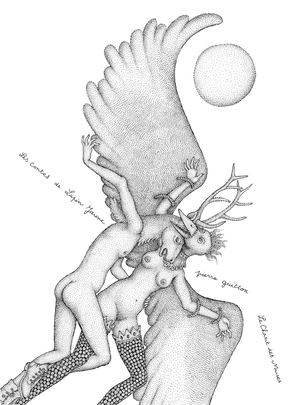 Les contes de Lapin Jaune – Pierre Guitton