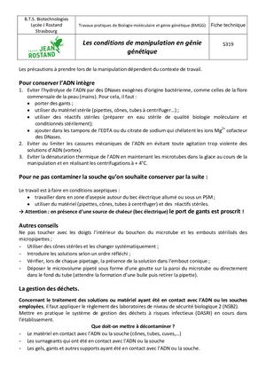 Fiche Technique Conditions Manip Gg