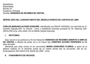 Demanda Regimen De Visitas