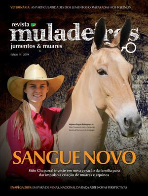 Muladeiros - Edição 11