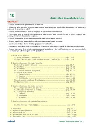 Animales Invertebrados