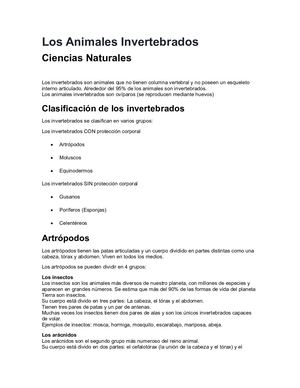 Los Animales Invertebrados