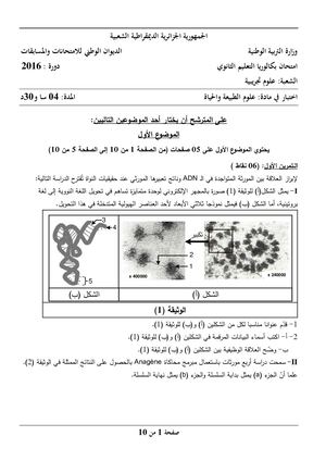 Thebac Blogspot Com Bac Sciences Se 20161