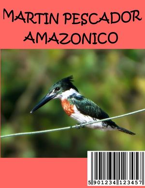 Martín pescador amazónico