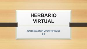 Clasificación Taxonomica