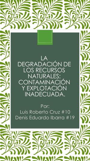La degradación de los recursos naturales: contaminación y explotación inadecuada.