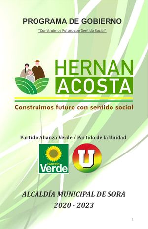 Programa De Gobierno