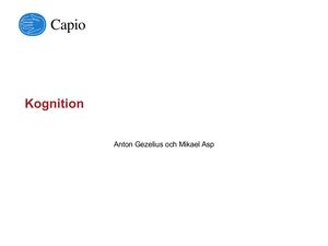 Kognitionsföreläsning 170613