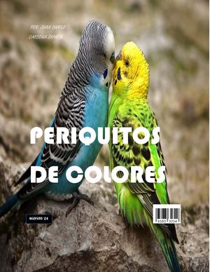 Periquito De Colores