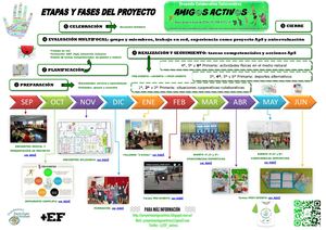 Proyecto Amigos Activos: etapas y fases