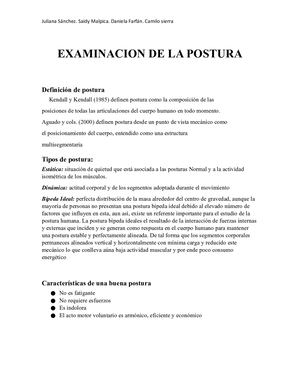 Examinacion De La Postura
