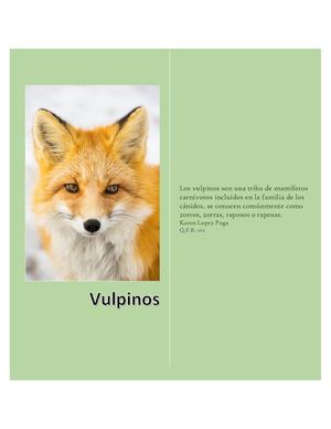 Vulpinos