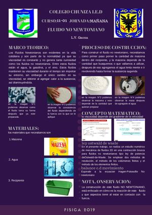 Fluido No Newtoniano