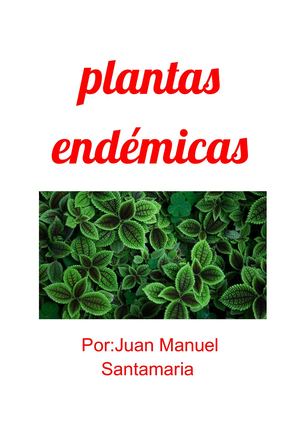 Plantas Endémicas (2)