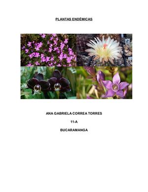 Plantas Endémicas