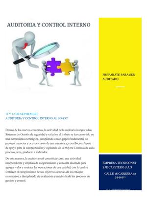Cartilla De Auditoria Y Control Interno