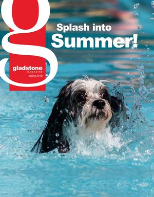 Gladstone Spring 2019