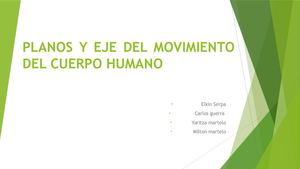 Planos Y Eje Del Movimiento Del Cuerpo Humano Kin