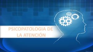 Procesos Psicológicos en la Psicopatologia