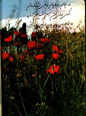 گۆڤاری سروە ژمارە ١.