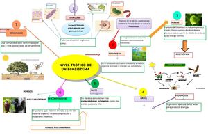 Mapa Mental Tarea 1 Valeria Casierra