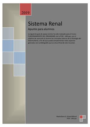 Sistema Renal