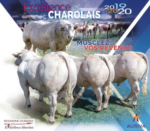 Catalogue Excellence Charolais 2019