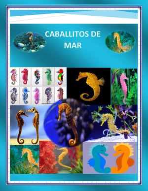 Caballitos De Mar 2