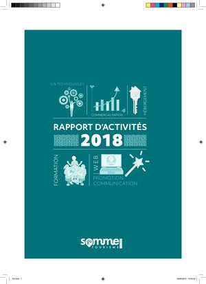 Rapport d'activités (réalisation)