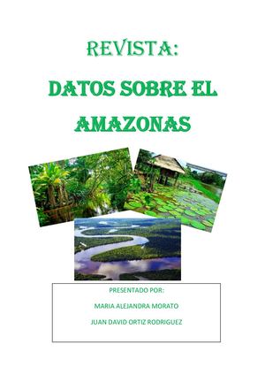 Amazonas 1106